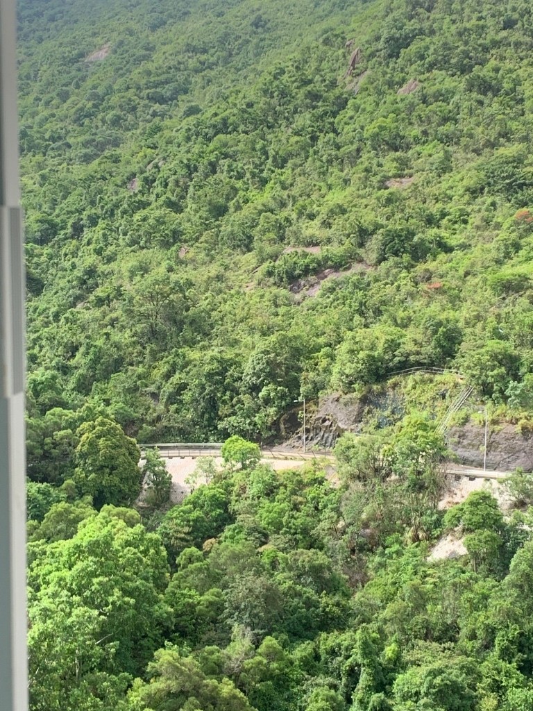 免佣金向南山景傢俬齊全4窗女土單人房 - 沙田/火炭 - 房間 (合租／分租) - Homates 香港