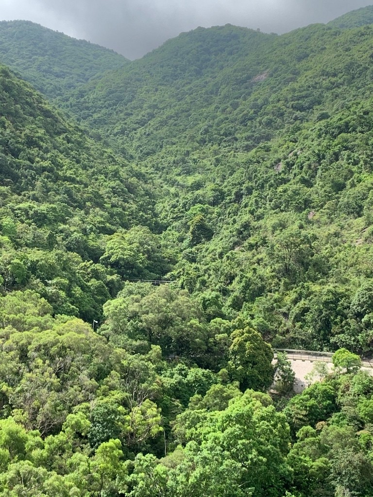 免佣金向南山景4窗高層整潔單人房 - 沙田/火炭 - 房間 (合租／分租) - Homates 香港