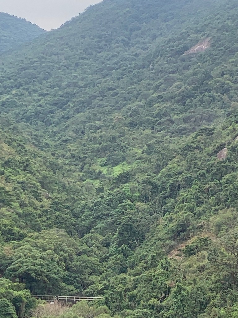 免佣金向南山景4窗高層整潔單人房 - 大埔/太和 - 住宅 (整間出租) - Homates 香港