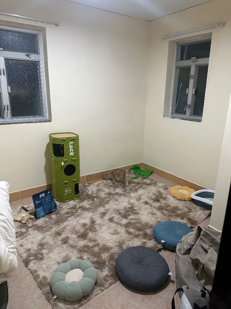 1房出租 - 佐敦/尖沙咀 - 房间 (合租／分租) - Homates 香港