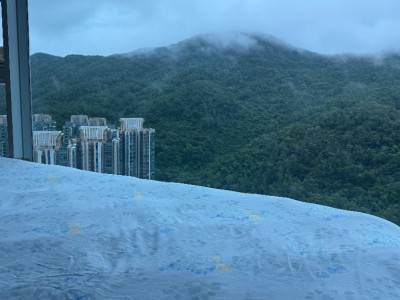 香港 -  - Le Prestige, Lohas Park