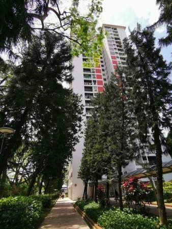 Room For Rent - 107 Spottiswoode Park Road Rm2 - Chinatown - Flat - Homates Singapore