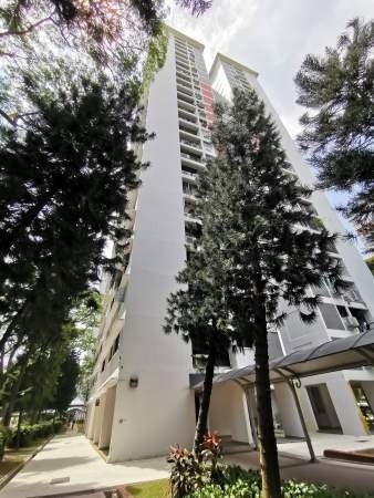 Room For Rent - 107 Spottiswoode Park Road Rm2 - Chinatown - Flat - Homates Singapore
