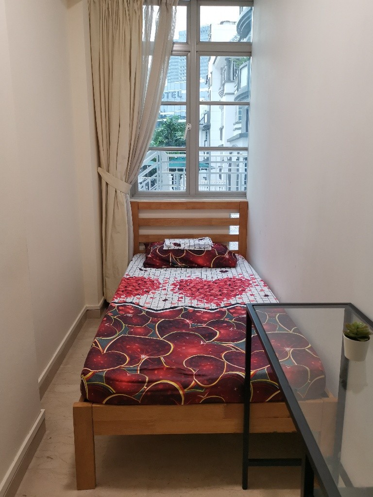 Single room for rent - Pinetree Condominium - Bukit Timah 武吉知馬 - 分租房间 - Homates 新加坡