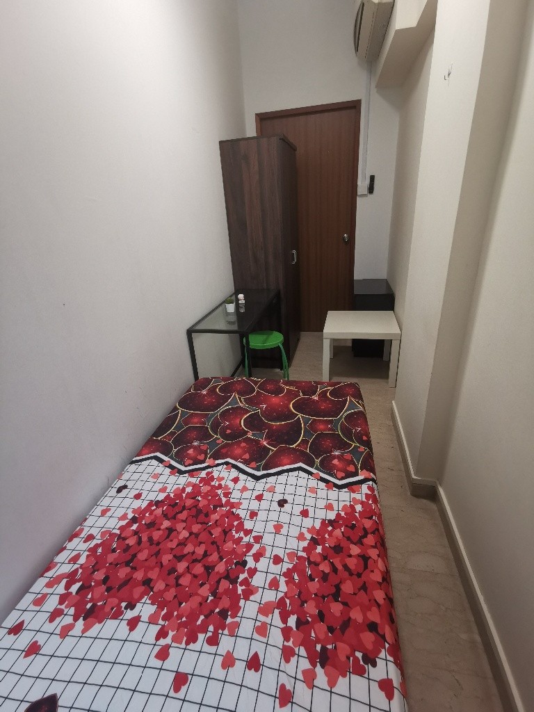 Single room for rent - Pinetree Condominium - Bukit Timah 武吉知馬 - 分租房间 - Homates 新加坡