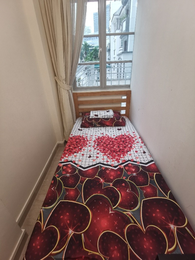 Single room for rent - Pinetree Condominium - Bukit Timah 武吉知馬 - 分租房间 - Homates 新加坡
