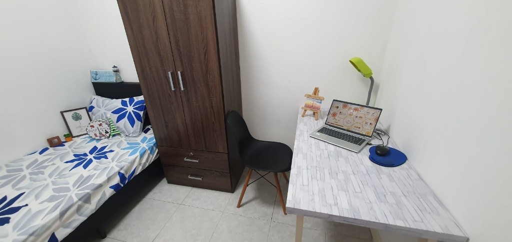 Cozy Condo Common Single Room For Rent - Tiong Bahru 中嗒鲁 - 分租房间 - Homates 新加坡