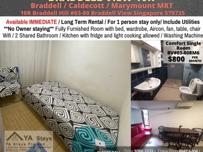 Homates 新加坡 - Braddell 布莱徳 - 10R Braddell Hill