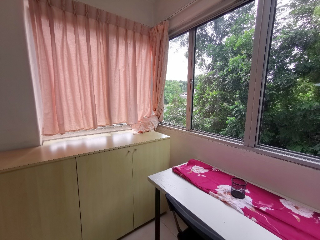 Available﻿ Immediate- Common Room/Include Utilities/Wifi/Aircon/No Agent Fee/Light Cooking Allowed/Washing Machine - Clementi 金文泰 - 分租房间 - Homates 新加坡