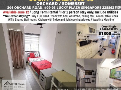 Homates 新加坡 - Orchard 乌节路 - 304 ORCHARD ROAD, #09-03 SINGAPORE 238863 