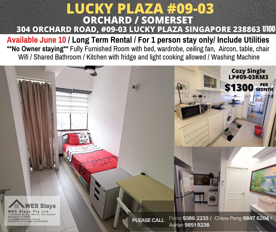 LUCKY PLAZA #09-03 - Orchard 乌节路 - 整个住家 - Homates 新加坡