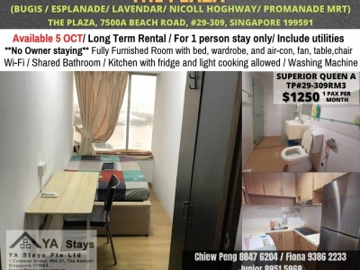 新加坡 -  - 7500A Beach Road, Singapore 199591 