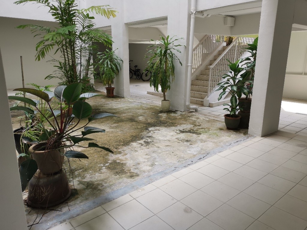 Room for rent / Braddell / Common room / 1pax stay / Available 23 Oct - Braddell - Bedroom - Homates Singapore