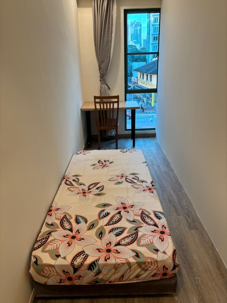 Room for rent / BALESTIER / NOVENA / TOA PAYOH M / Common room / 1pax stay / Available Immediately - Toa Payoh - Flat - Homates Singapore
