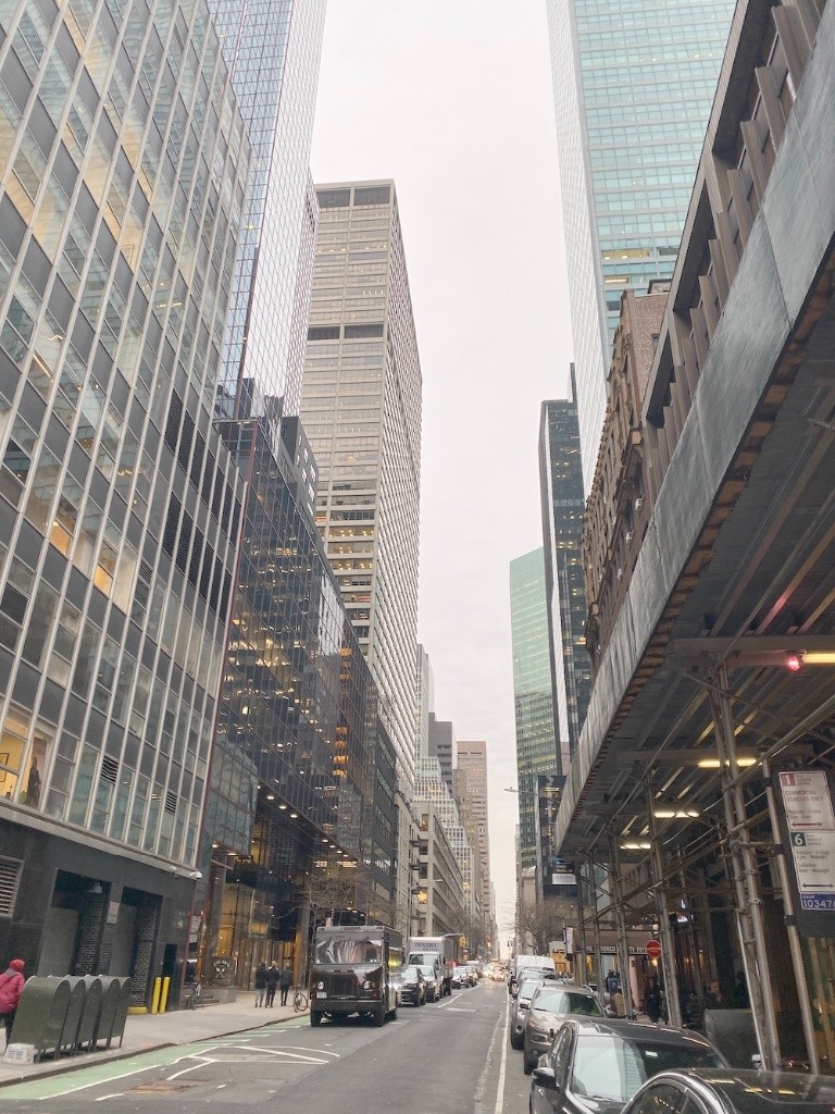 纽约曼哈顿中城中央车站附近出租 -  - 整套出租 - Homates 美國