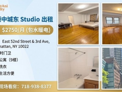 United States -  - 161 East 52nd Street,New York,NY 10022