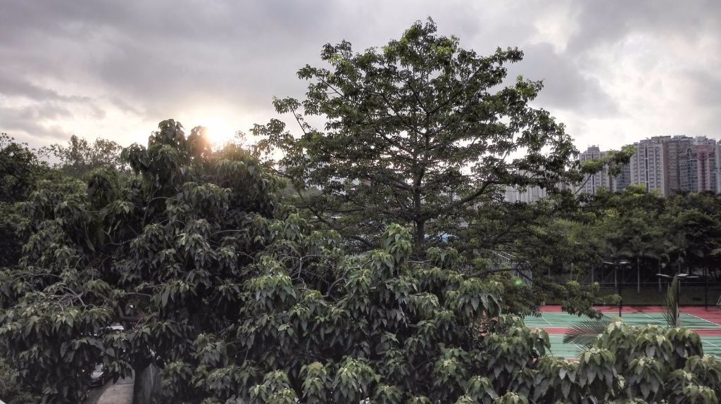 極罕有近太湖花園 步行可達港鐵站 村屋出租 三樓連天台 - 大埔/太和 - 住宅 (整間出租) - Homates 香港