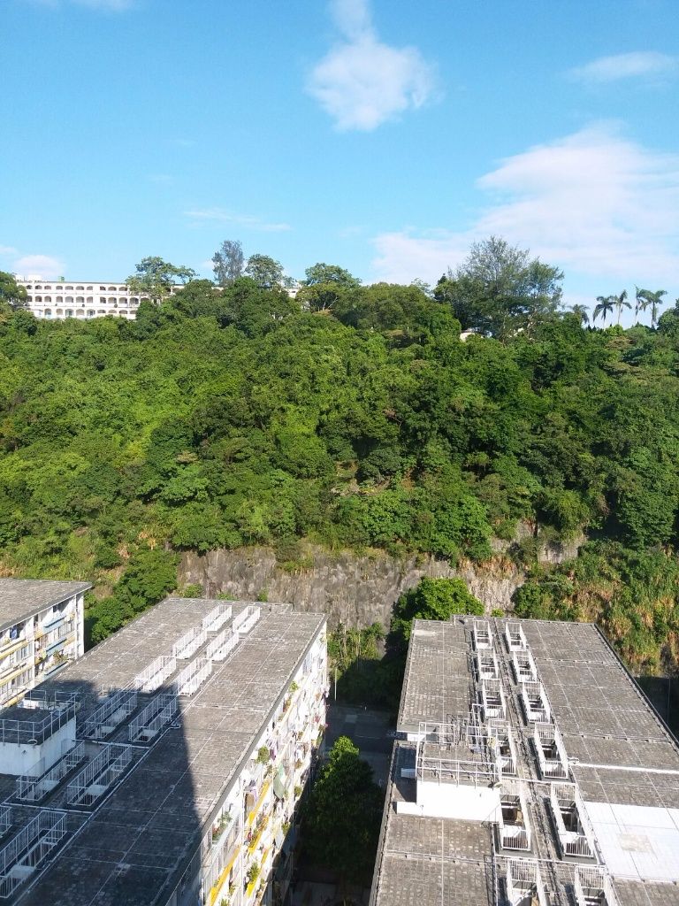 金基大廈高層東南位山景2房出租 - 筲箕灣 - 住宅 (整間出租) - Homates 香港