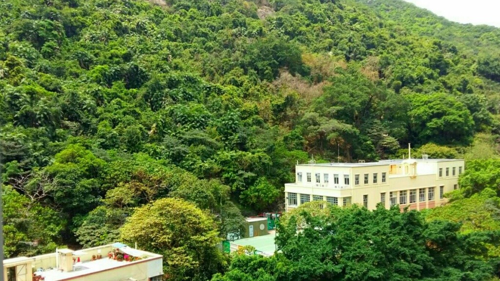 新裝兩房 開揚山景 毗鄰地鐵、太古坊 上班族首選 - 鰂魚涌 - 住宅 (整間出租) - Homates 香港