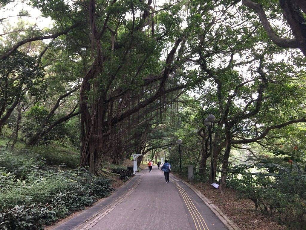 雜費全包 | 新淨 | 兩分鐘到太和站／巴士站 | 有一狗 - 大埔/太和 - 房間 (合租／分租) - Homates 香港