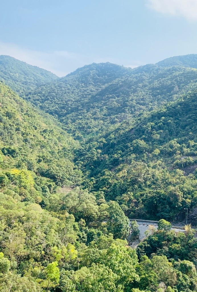 免佣金月租$4000傢俬設施齊清靜向南全山景四窗單人房出租 - 沙田/火炭 - 房间 (合租／分租) - Homates 香港