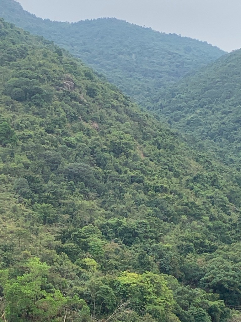 免佣金月租$4000傢俬設施齊清靜向南全山景四窗單人房出租 - 沙田/火炭 - 房间 (合租／分租) - Homates 香港