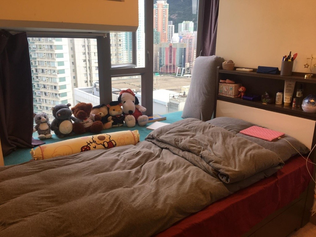 Single/Double Room in a Large 2BR Flat (Waterfront view) - 太古/西灣河 - 房間 (合租／分租) - Homates 香港