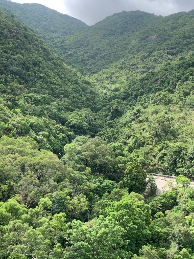 免佣金女生單人房傢俬齊向南山景房子 - 沙田/火炭 - 房間 (合租／分租) - Homates 香港