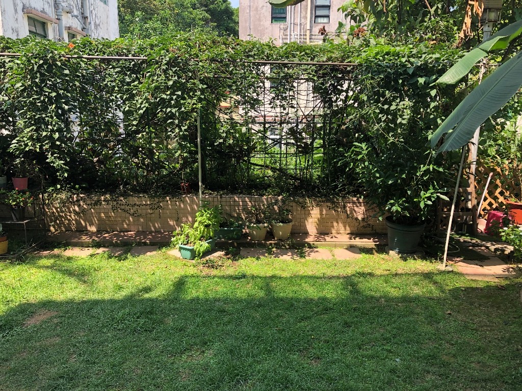 Co-living/working village life  - 东涌 - 房间 (合租／分租) - Homates 香港