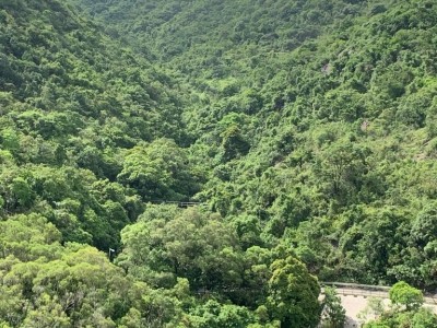 Hong Kong -  - 小瀝源路68號廣材苑C座高層
