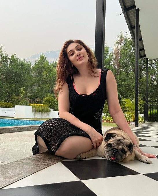 DAILY HOOK UP WITH SUGAR MUMMY AND MAKE RM3000 TO RM8,000 FOR YOUR SERVICE. Contact Agent ann on (TELEGRAM: MyAsiadatinghookups) -  - Flat - Homates Malaysia