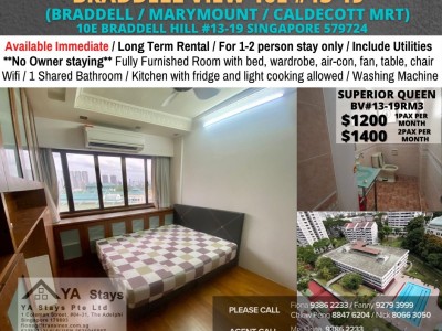Singapore -  -  Braddell View, 10E Braddell Hill, #11-20, Singapore 579724