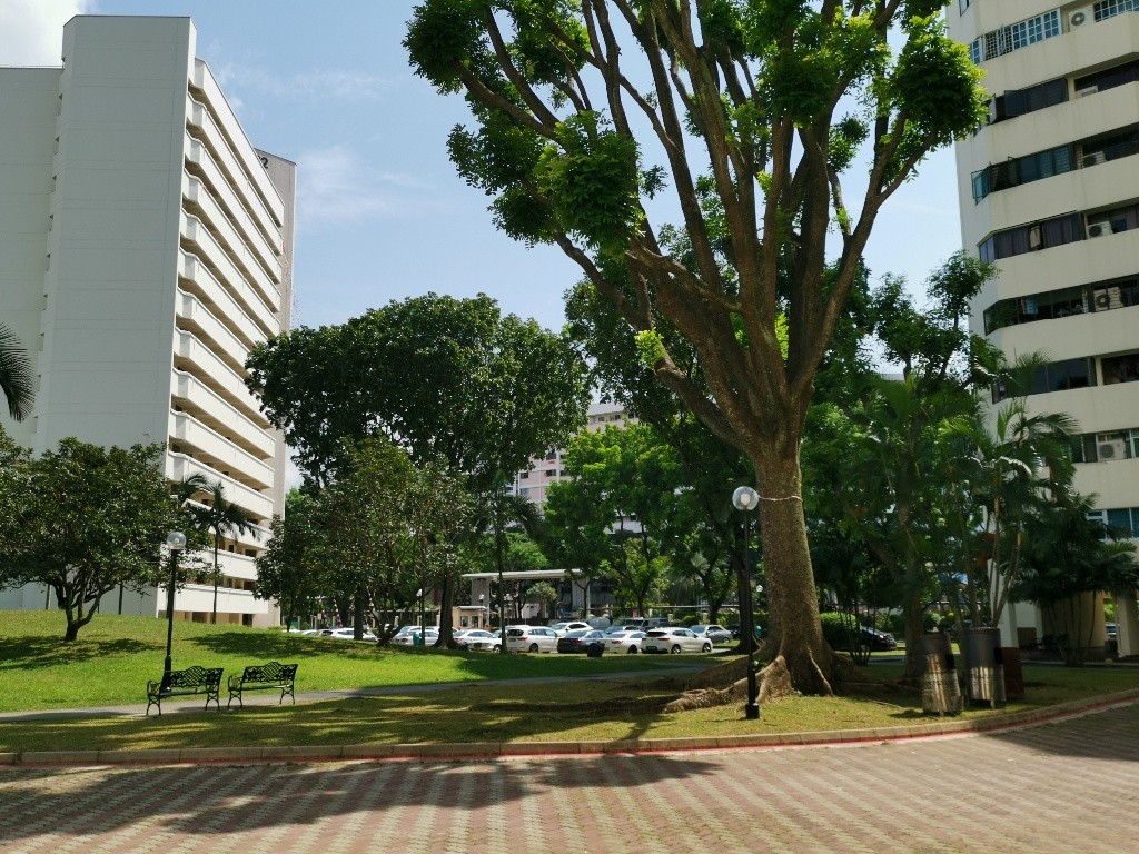 Chinese Garden MRT/Jurong East MRT - Ivory Height - Jurong East - Flat - Homates Singapore