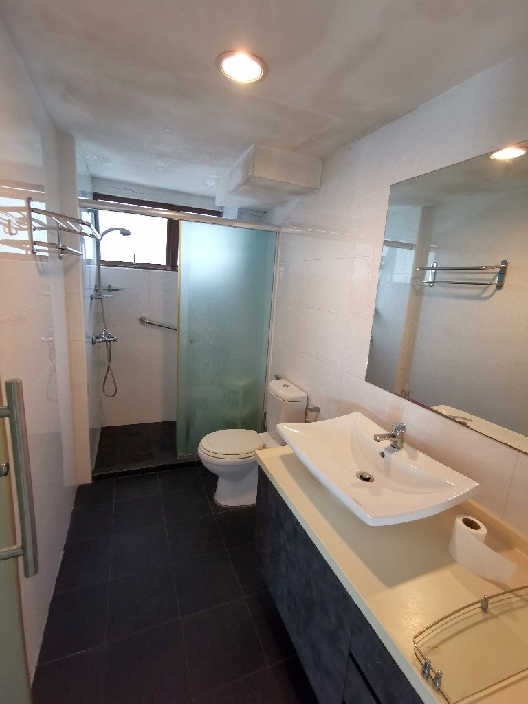 Room for Rent/10B Braddell Hill, #11-08 Singapore 579721/For 1 pax/ Available July 6 - Ang Mo Kio 宏茂桥 - 整个住家 - Homates 新加坡