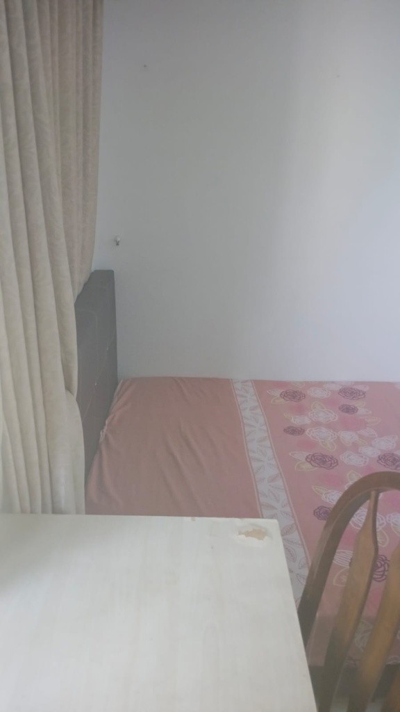 Room for rent / Braddell / Common room / 1pax stay / Available immediate - Braddell 布萊徳 - 分租房間 - Homates 新加坡