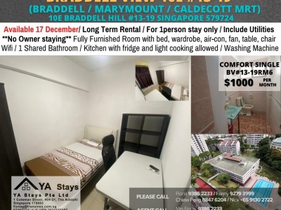 Homates 新加坡 - Braddell 布莱徳 - 10E Braddell View, Singapore 579724 