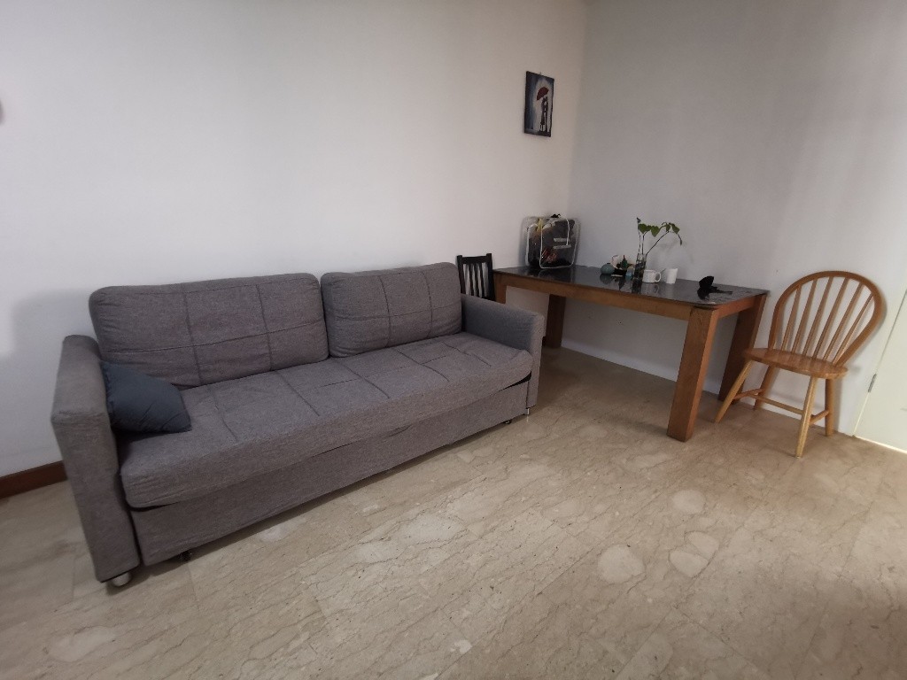 Room for rent / River Valley / Master Room / 1 Pax Stay / Available 15 November - River Valley 里峇峇利 - 分租房间 - Homates 新加坡