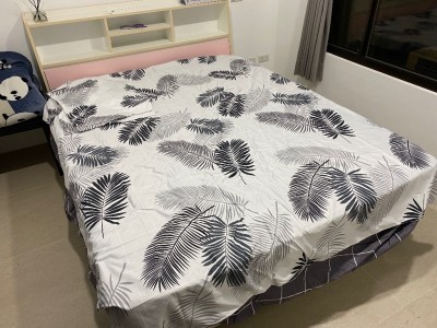 台灣 -  - 大園區拔子林一路228號11樓